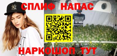 тгк Дубна