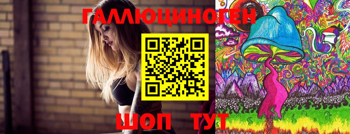 Псилоцибиновые грибы Psilocybine cubensis Менделеевск