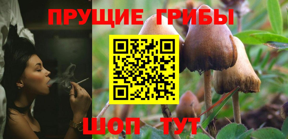 Псилоцибиновые грибы GOLDEN TEACHER  Псилоцибиновые грибы мицелий  Вход с VPN  Менделеевск 